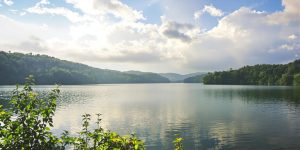 Calm lake with greenery promoting relaxation and serenity.