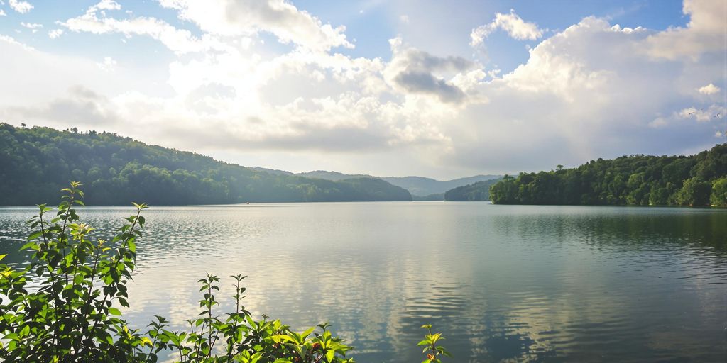 Calm lake with greenery promoting relaxation and serenity.